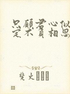 只愿君心似我心定不负相思意什么意思