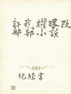 许我耀眼改编自哪部小说