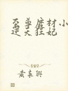 至尊废材小姐:逆天狂妃