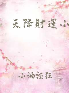 天降财运小说