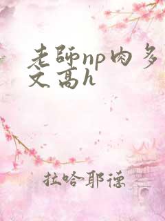 老师np肉多荤文高h