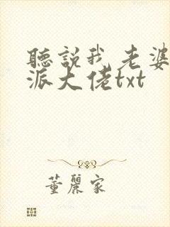 听说我老婆是反派大佬txt