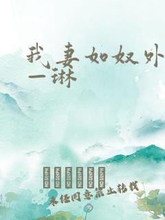 我妻如奴外传——琳