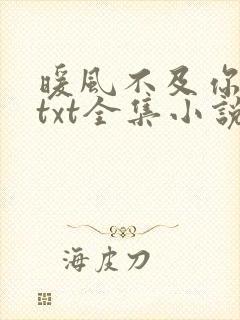 暖风不及你情深txt全集小说