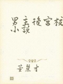 男主后宫校园类小说