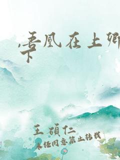 ,吾凰在上卿在下