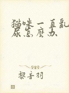 猫咪一直乱拉乱尿怎么办