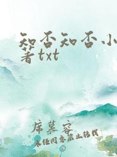 知否知否小说原著txt