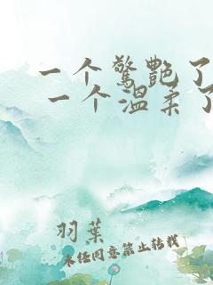 一个惊艳了时光 一个温柔了岁月