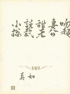 小说甜妻吻安:总裁老公超棒的