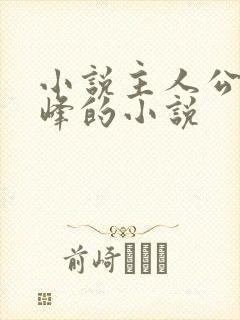 小说主人公叫林峰的小说