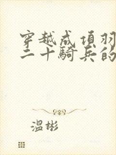 穿越成项羽,带二十骑兵的小说