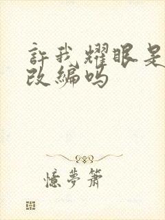 许我耀眼是小说改编吗