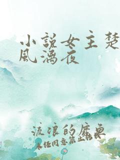 小说女主楚倾歌风漓夜
