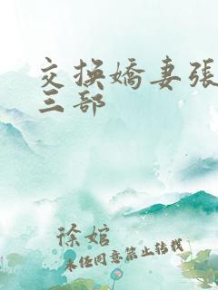 交换娇妻张妍第三部