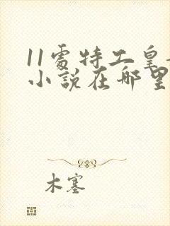 11处特工皇妃小说在哪里能看