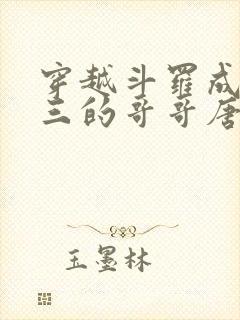 穿越斗罗成为唐三的哥哥唐蓝