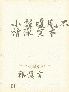 小说暖风不及你情深完本