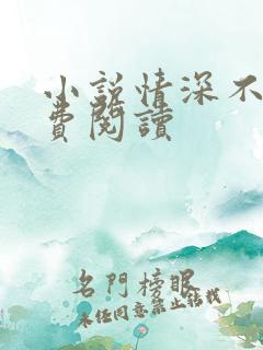 小说情深不负免费阅读