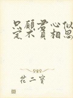 只愿君心似我心定不负相思意翻译