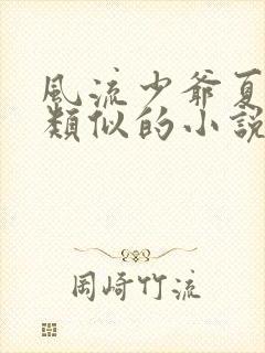 风流少爷夏丰银类似的小说