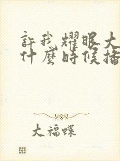 许我耀眼大结局什么时候播出