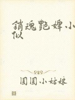 销魂艳婢小说类似