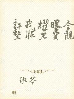 许我耀眼全集完整版免费观看电视剧