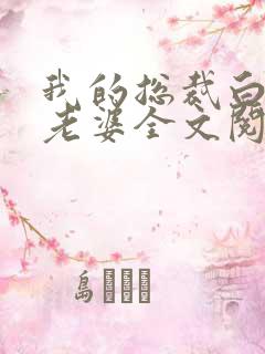 我的总裁白富美老婆全文阅读免费