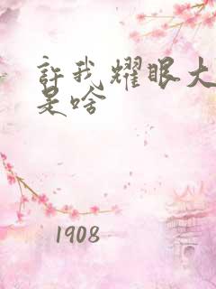 许我耀眼大结局是啥