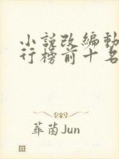 小说改编动漫排行榜前十名