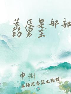 叶辰是哪部小说的男主