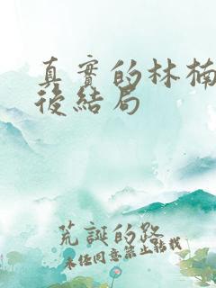 真实的林楠笙最后结局