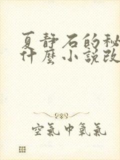 夏静石的秘密是什么小说改编的