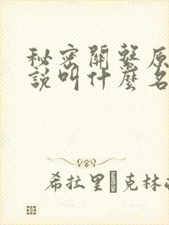 秘密关系原著小说叫什么名字