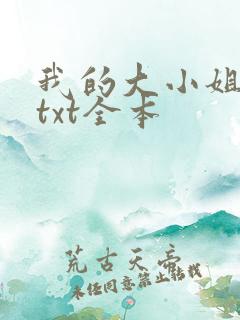 我的大小姐老婆txt全本