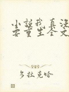 小说我真没想过要重生全文阅读