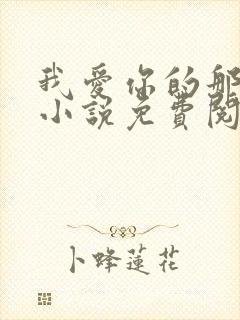 我爱你的那十年小说免费阅读