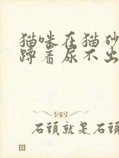 猫咪在猫砂盆里蹲着尿不出来