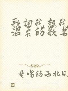 歌词我想我不够温柔的歌名是什么