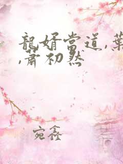 龙婿当道,叶辰,萧初然