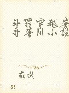 斗罗穿越唐三亲哥唐川小说