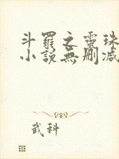 斗罗之灵珠神剑小说无删减