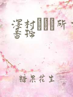 泽村レイコ所有番号