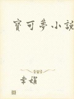 宝可梦小说封面