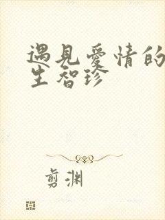 遇见爱情的利先生智珍