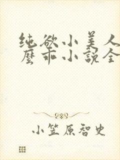 纯欲小美人他那么乖小说全文阅读