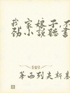 我家娘子,不对劲小说听书