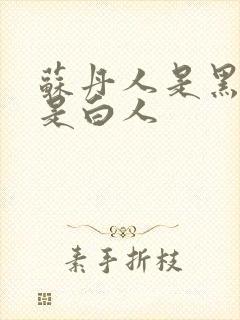 苏丹人是黑人还是白人