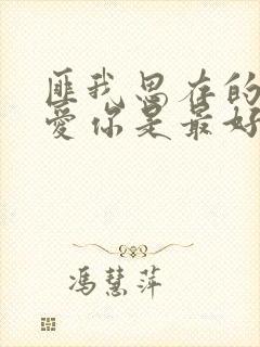匪我思存的小说爱你是最好的时光